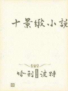 十景缎小说