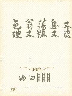 色翁荡息又大又硬又粗又爽