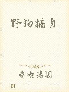 野狗摘月