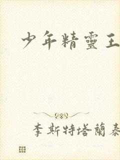 少年精灵王