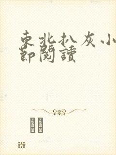 东北扒灰小说分节阅读