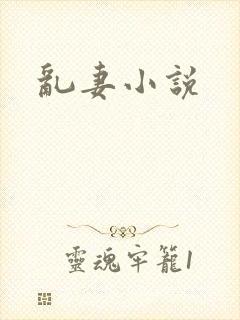 乱妻小说