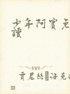 少年阿宾免费阅读