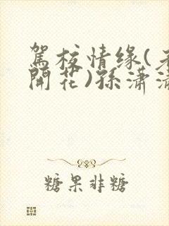 驾校情缘(老树开花)孙潇潇笔趣阁