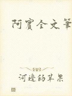 阿宾全文笔趣阁