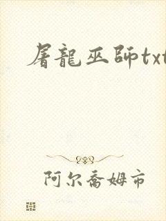 屠龙巫师txt