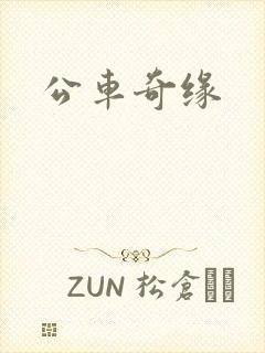 公车奇缘