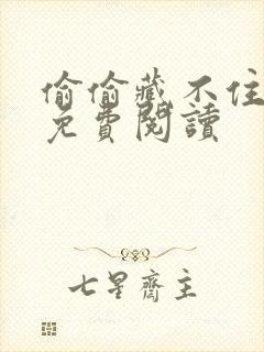 偷偷藏不住小说免费阅读