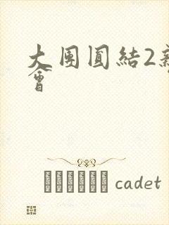 大团圆结2亲情会