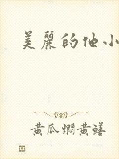 美丽的他小说