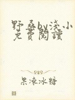 野桑by浅小说免费阅读