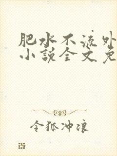 肥水不流外人田小说全文免费阅读1