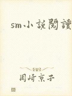 sm小说阅读
