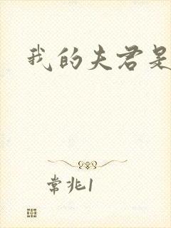 我的夫君是冥王