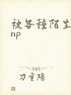 被各种陌生人 np