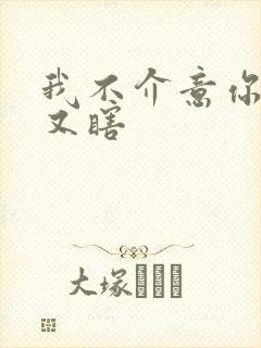 我不介意你又丑又瞎