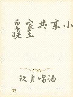 皇家共享小公主暖玉