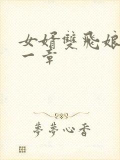 女婿双飞娘俩第一章