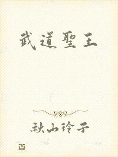 武道圣王
