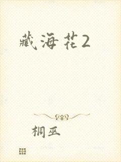 藏海花2