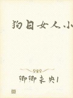 狗日女人小说