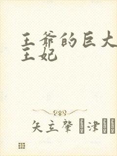 王爷的巨大进入王妃