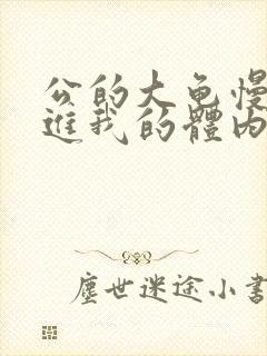 公的大龟慢慢挺进我的体内