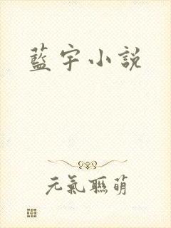 蓝宇小说