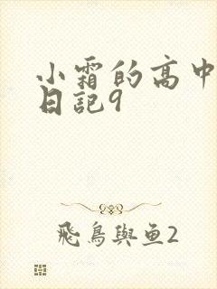 小霜的高中成长日记9