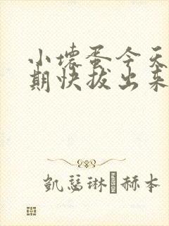 小坏蛋今天危险期快拔出来