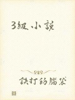 3级小说