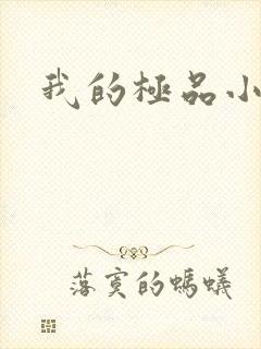我的极品小姨