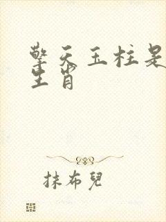 擎天玉柱是什么生肖