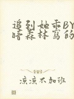 追到她乖BY黑暗森林写的小说封面