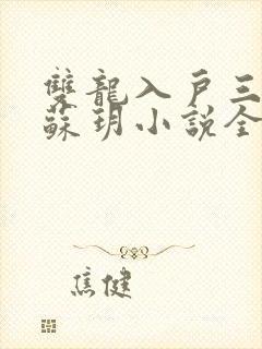 双龙入户三人行苏玥小说全文阅读