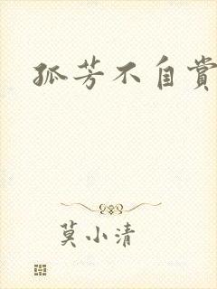 孤芳不自赏小说