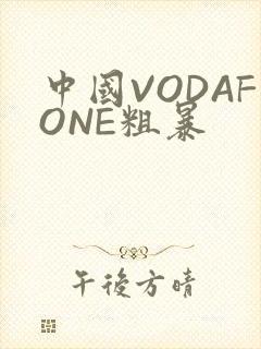 中国VODAFONE粗暴