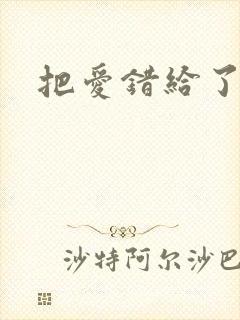 把爱错给了你