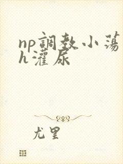 np调教小荡货h灌尿