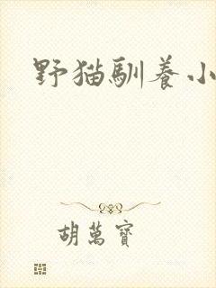 野猫驯养小说