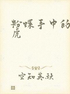 粉蝶手中的纸老虎封面