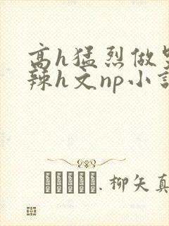 高h猛烈做哭高辣h文np小说