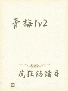 青梅1v2