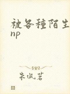 被各种陌生人 np