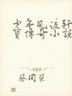 少年风流轩辕大宝传奇小说