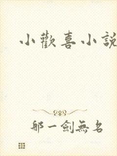 小欢喜小说