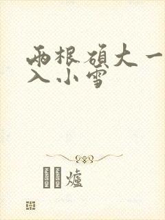 两根硕大一起挤入小雪