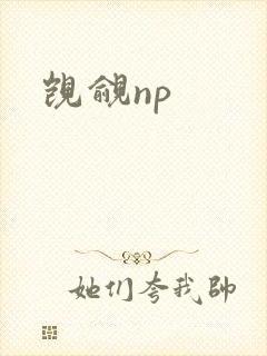 觊觎np