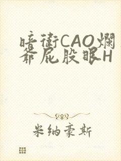 暗卫CAO烂王爷屁股眼H