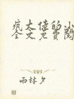 疯大佬的小玩物全文免费阅读小说